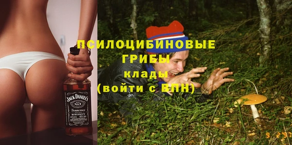 дмт Аркадак