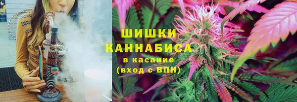 дмт Аркадак