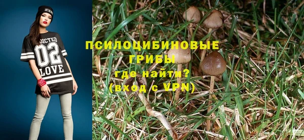 дмт Аркадак