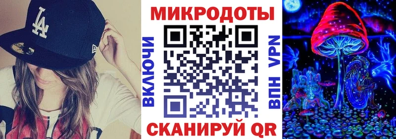 закладка  Светогорск  Псилоцибиновые грибы Psilocybine cubensis 